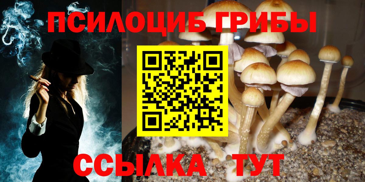 где купить   Галлюциногенные грибы мицелий  Вход с VPN  Благовещенск 